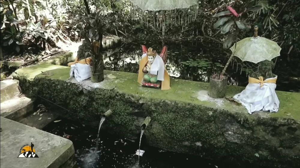 Rowo Bayu lokasi KKN di Desa Penari © berbagai sumber Rowo Bayu lokasi KKN di Desa Penari © berbagai sumber