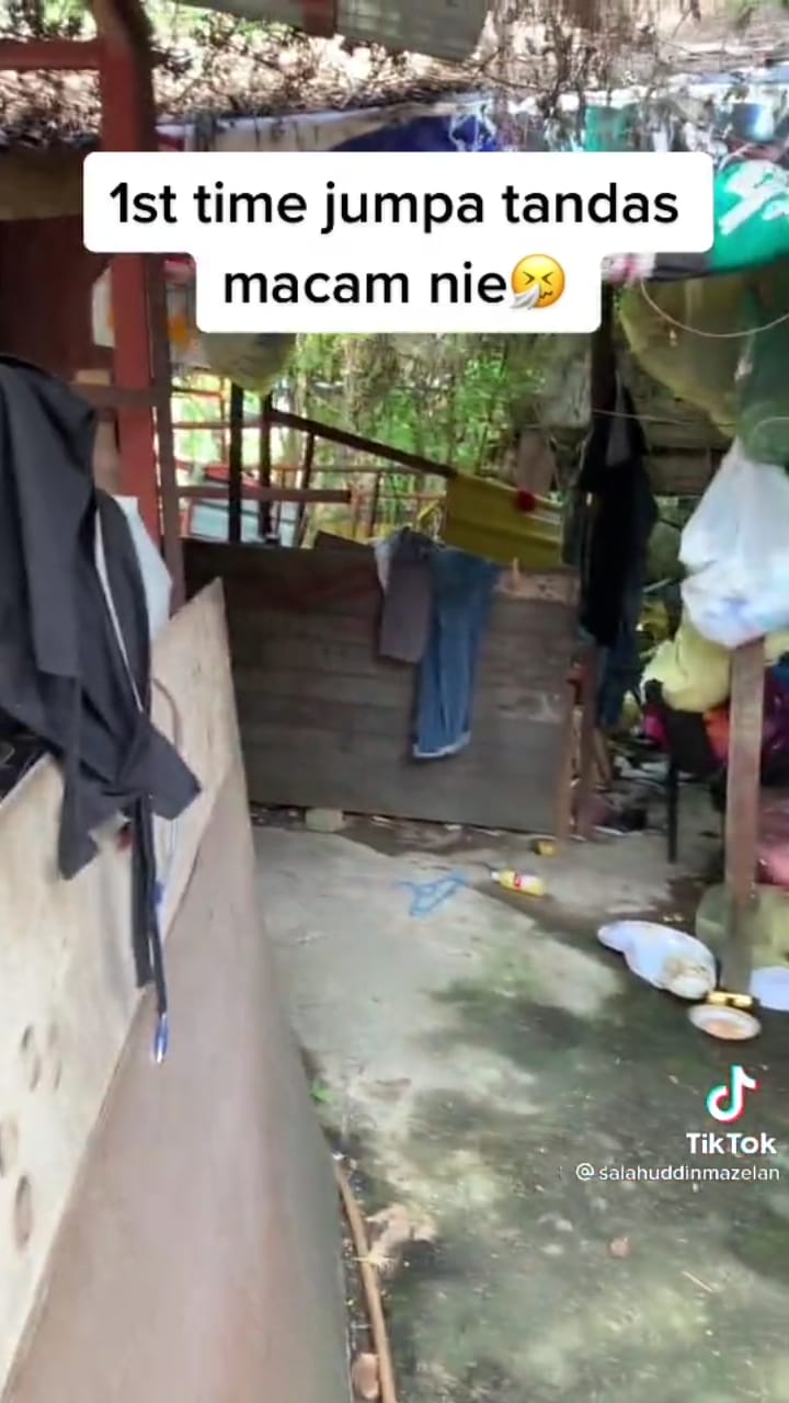 potret dalam rumah berdinding bikin takjub © TikTok potret dalam rumah berdinding bikin takjub © TikTok