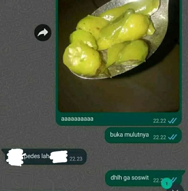 Chat WA lucu orang pacaran bahas makan © berbagai sumber