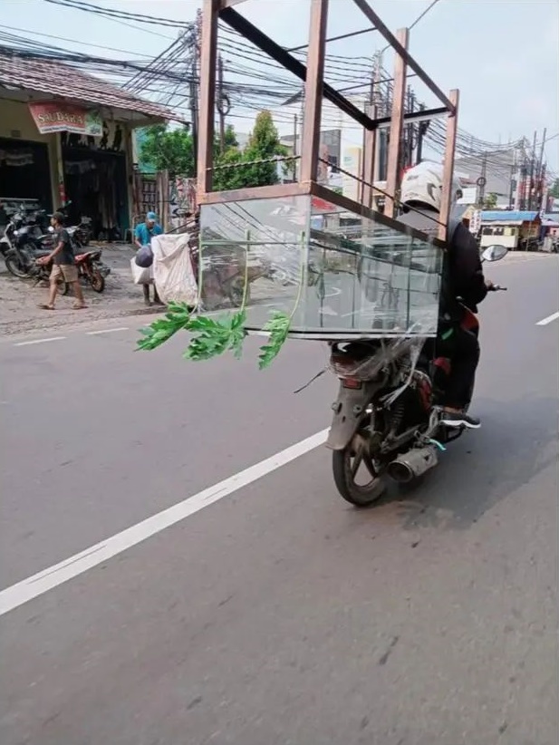 nekat bawa barang cuma pakai motor © berbagai sumber