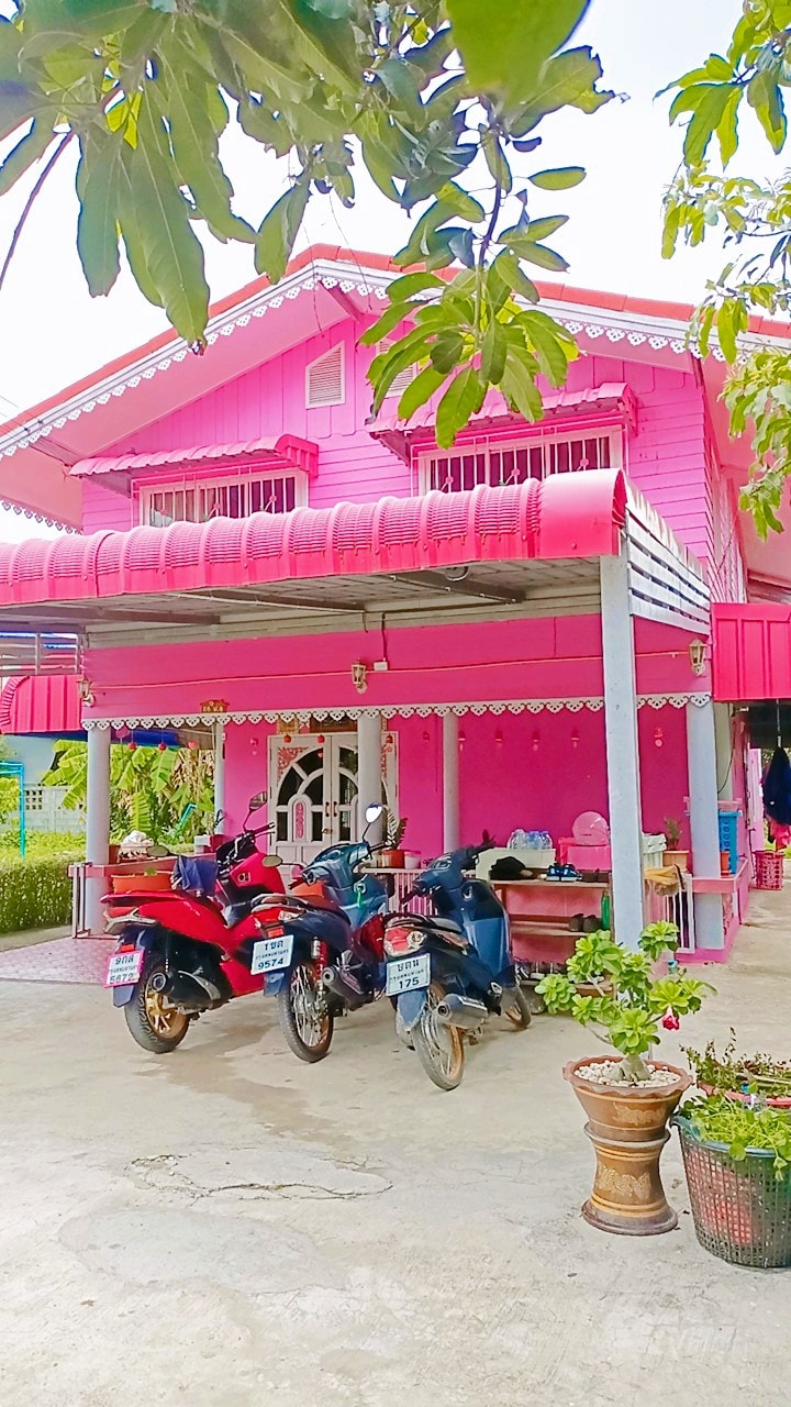 11 Potret desain rumah serba pink, isinya bikin melongo