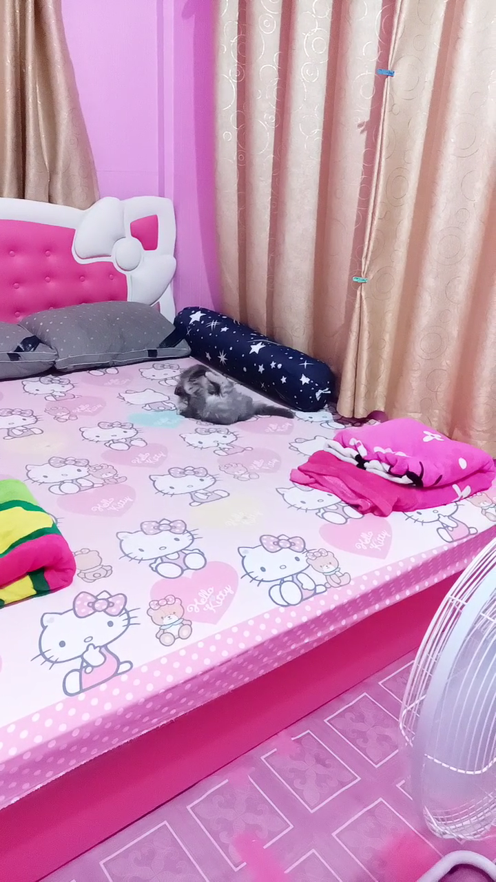 rumah serba pink di thailand © berbagai sumber