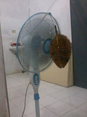 pengharum ruangan malah nyeleneh banget © berbagai sumber