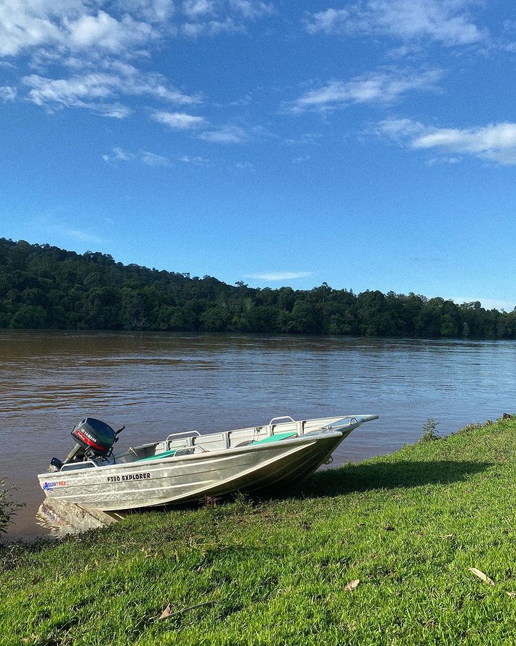 Fakta Andrew Kalaweit Berbagai sumber