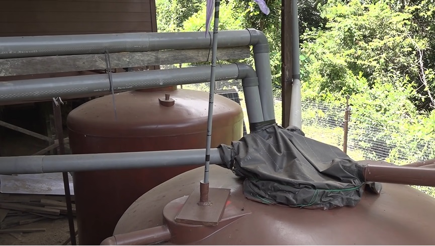 rumah keluarga kalaweit © YouTube rumah keluarga kalaweit © YouTube