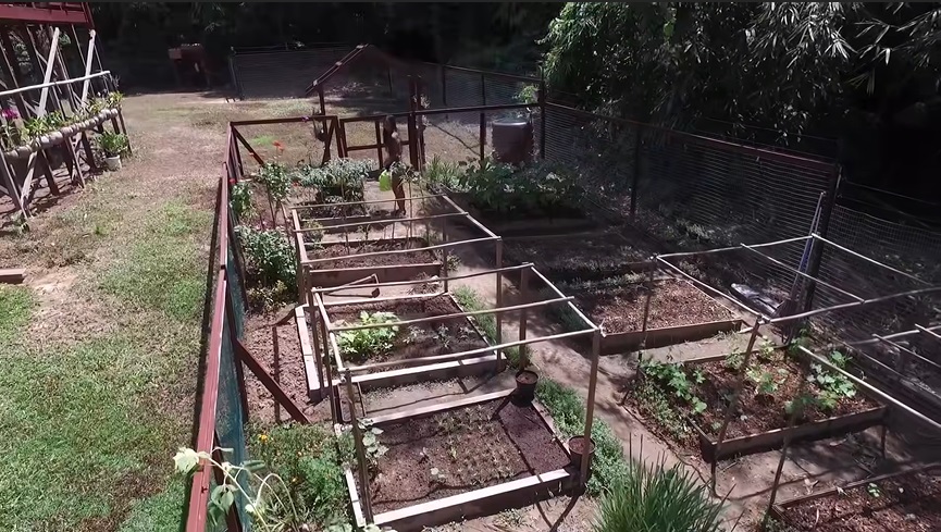 rumah keluarga kalaweit © YouTube rumah keluarga kalaweit © YouTube