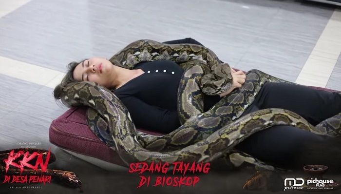 Syuting KKN di Desa Penari pakai ular asli Berbagai sumber