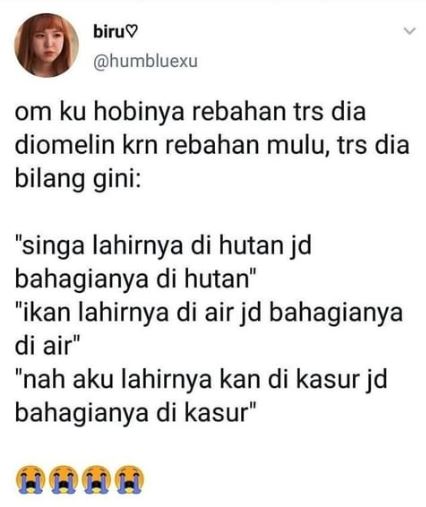 status lucu gagal kasih motivasi Berbagai sumber