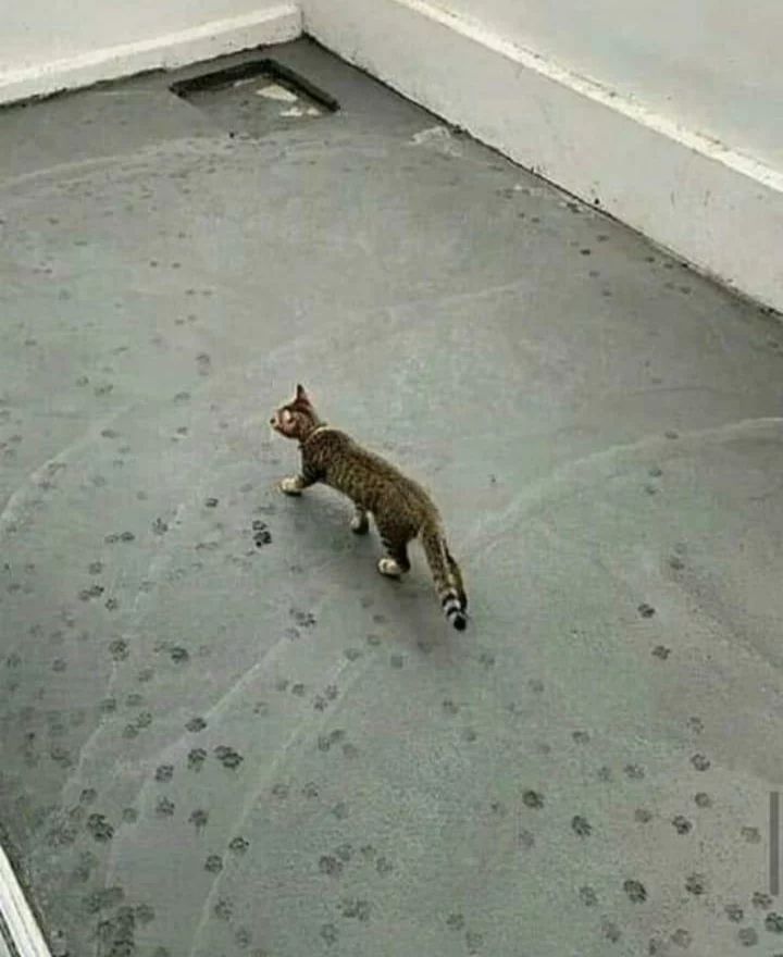 momen malah jadi sad ending akhirnya © berbagai sumber momen malah jadi sad ending akhirnya © berbagai sumber