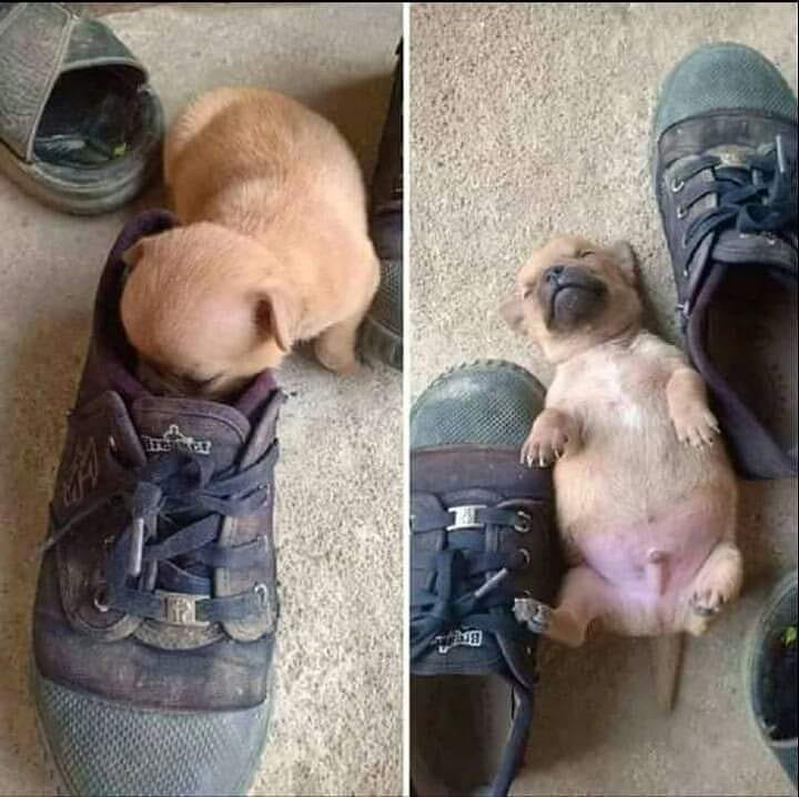 momen malah jadi sad ending akhirnya © berbagai sumber momen malah jadi sad ending akhirnya © berbagai sumber