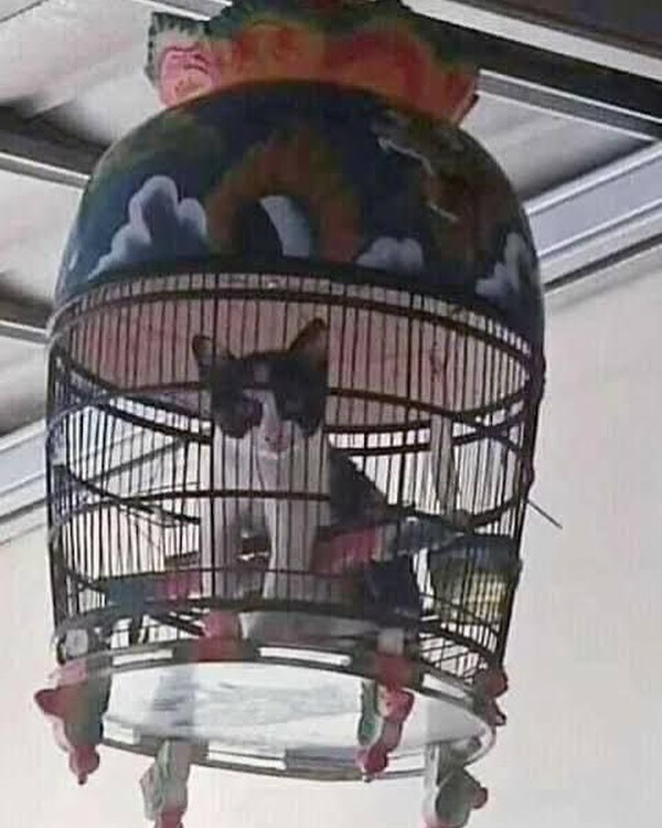 momen malah salah sasaran nih © berbagai sumber