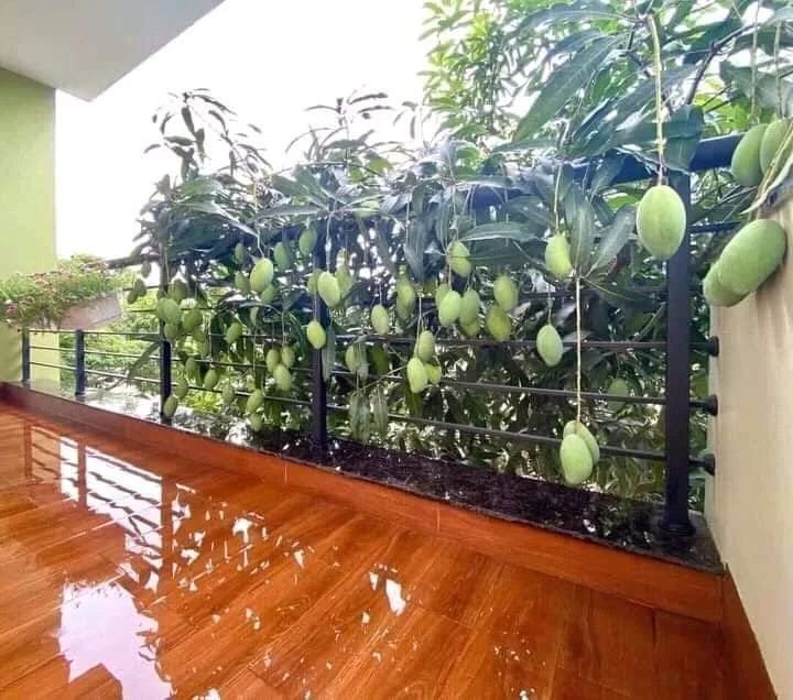 udah rezekinya mujur banget © berbagai sumber