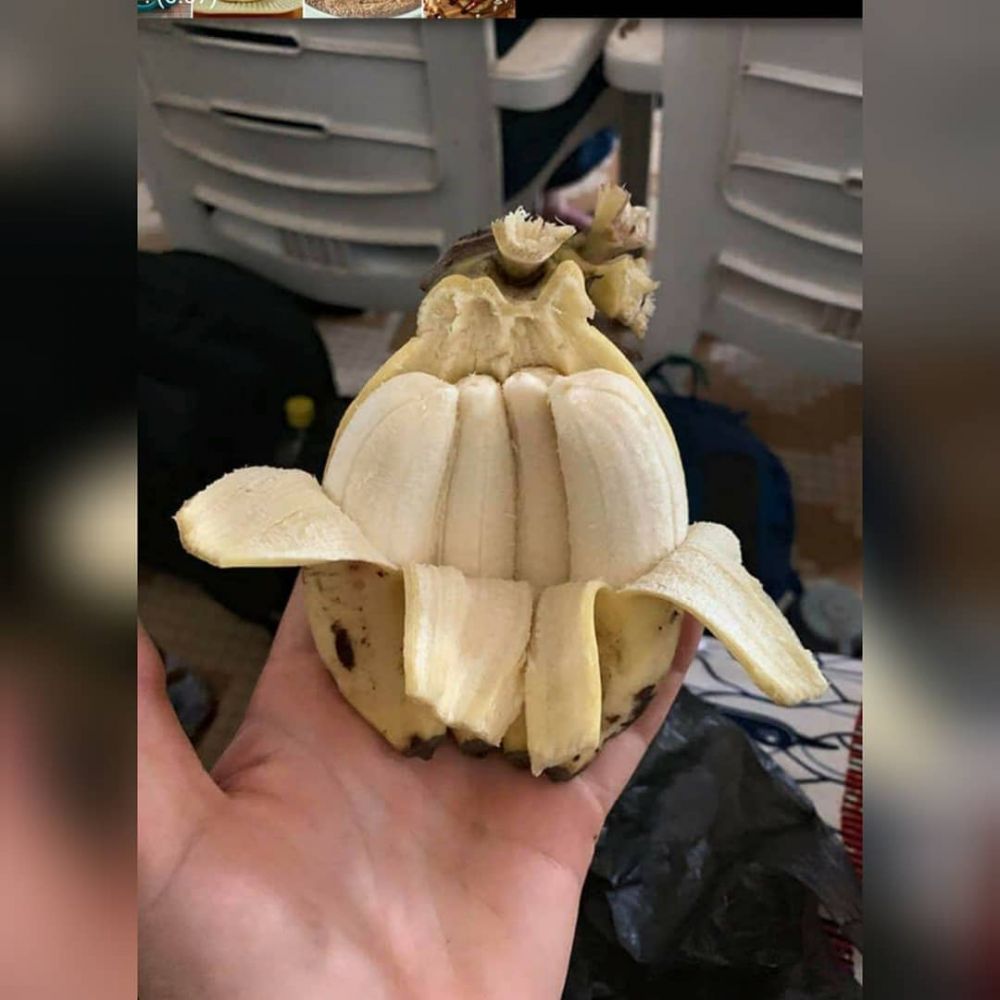 udah rezekinya mujur banget © berbagai sumber udah rezekinya mujur banget © berbagai sumber