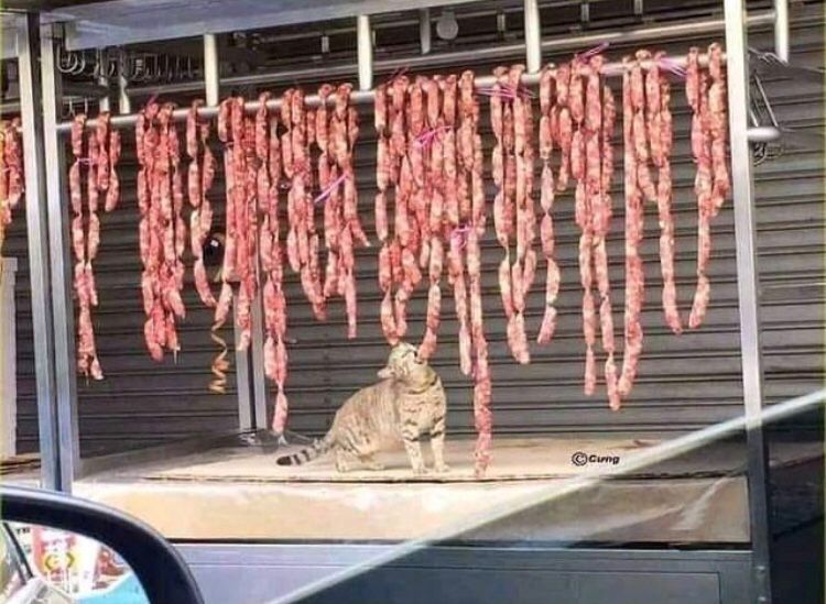 udah rezekinya mujur banget © berbagai sumber udah rezekinya mujur banget © berbagai sumber