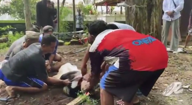 Momen akikah anak Olivia Zalianty © Instagram Momen akikah anak Olivia Zalianty © Instagram