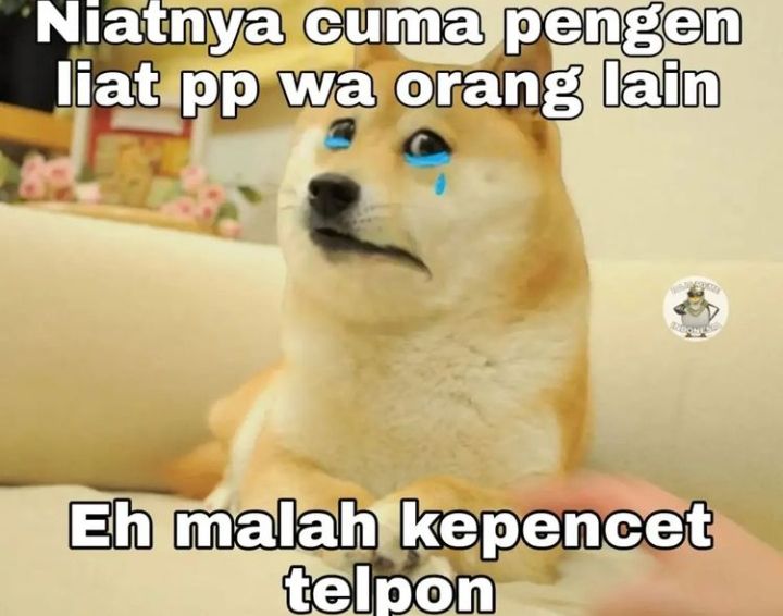Meme momen apes saat main hp © berbagai sumber
