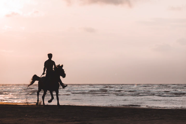 Arti mimpi naik kuda menurut primbon © 2022 berbagai sumber Arti mimpi naik kuda menurut primbon © 2022 berbagai sumber