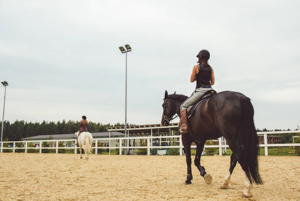 7 Arti mimpi naik kuda menurut primbon, bawa makna mendalam