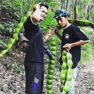 makanan ukurannya terlalu besar © berbagai sumber