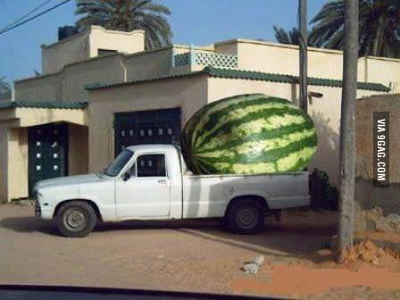 makanan ukurannya terlalu besar © berbagai sumber