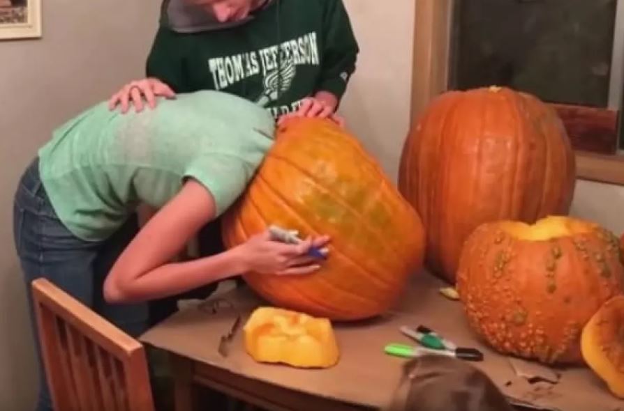 makanan ukurannya terlalu besar © berbagai sumber