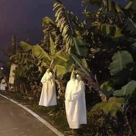 aneh-aneh aja kejadian di jalan © berbagai sumber