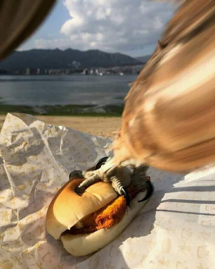 aneh-aneh aja kejadian di jalan © berbagai sumber