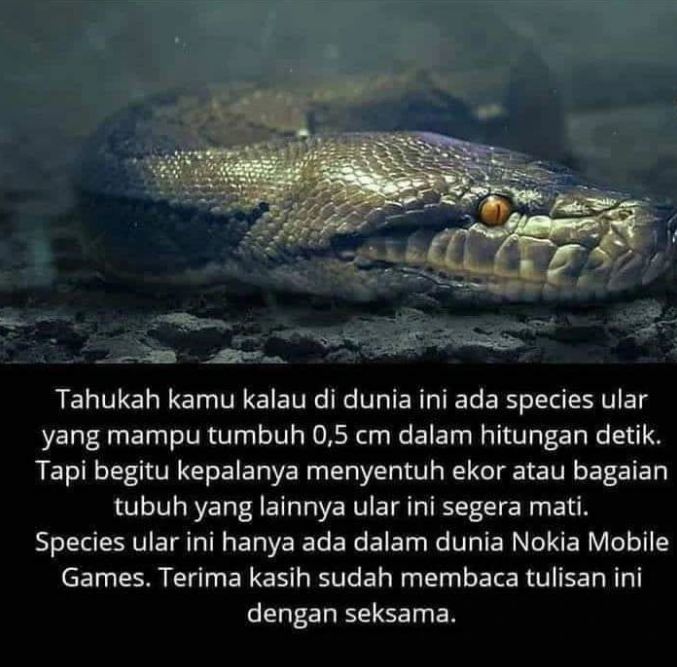 status lucu cuma ngasih tahu  berbagai sumber