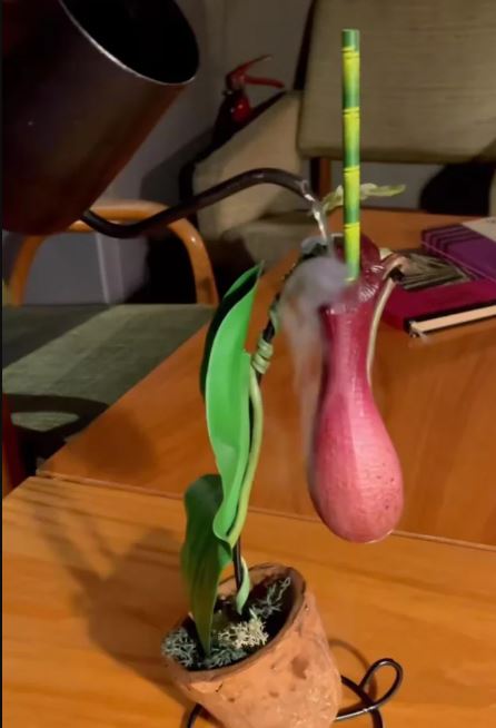 tempat minuman antimainstream © Reddit