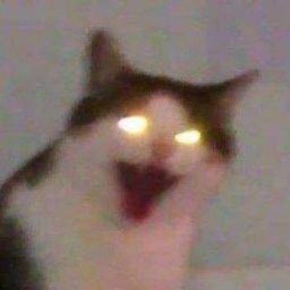 wajah seram keliatan di barang-barang © berbagai sumber