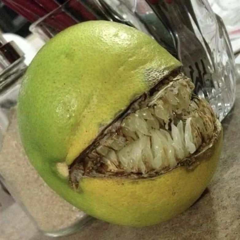 wajah seram keliatan di barang-barang © berbagai sumber