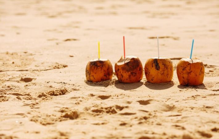 Arti mimpi tentang buah kelapa © 2022 berbagai sumber Arti mimpi tentang buah kelapa © 2022 berbagai sumber