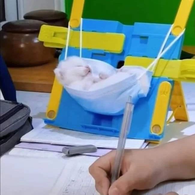 bikin karya tapi seadanya banget © berbagai sumber bikin karya tapi seadanya banget © berbagai sumber