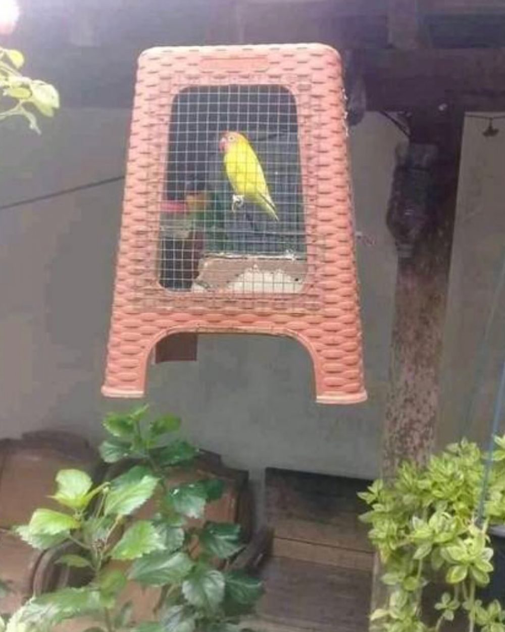 bikin karya tapi seadanya banget © berbagai sumber