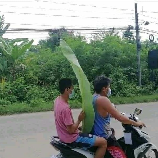 aksi kocak orang lagi nebeng lucu abis © berbagai sumber aksi kocak orang lagi nebeng lucu abis © berbagai sumber