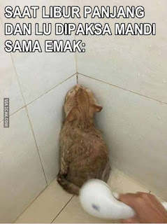 Meme alasan malas mandi Berbagai sumber