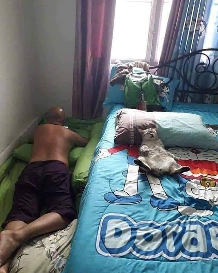 terpaksa harus ngalah nih © berbagai sumber terpaksa harus ngalah nih © berbagai sumber