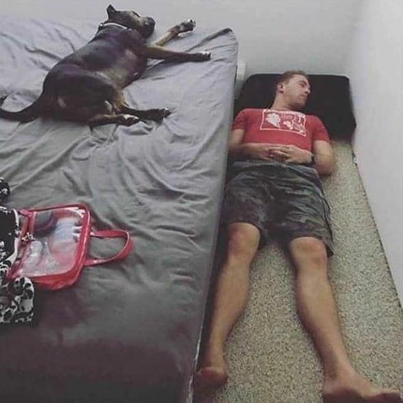 terpaksa harus ngalah nih © berbagai sumber terpaksa harus ngalah nih © berbagai sumber