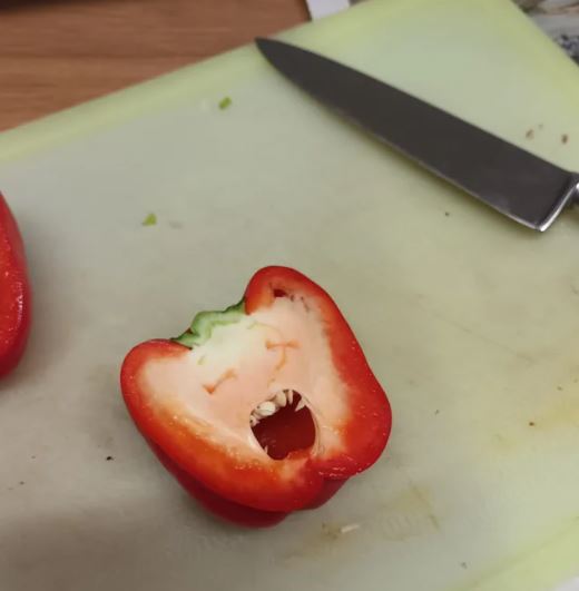 makanan berbentu wajah © Berbagai Sumber