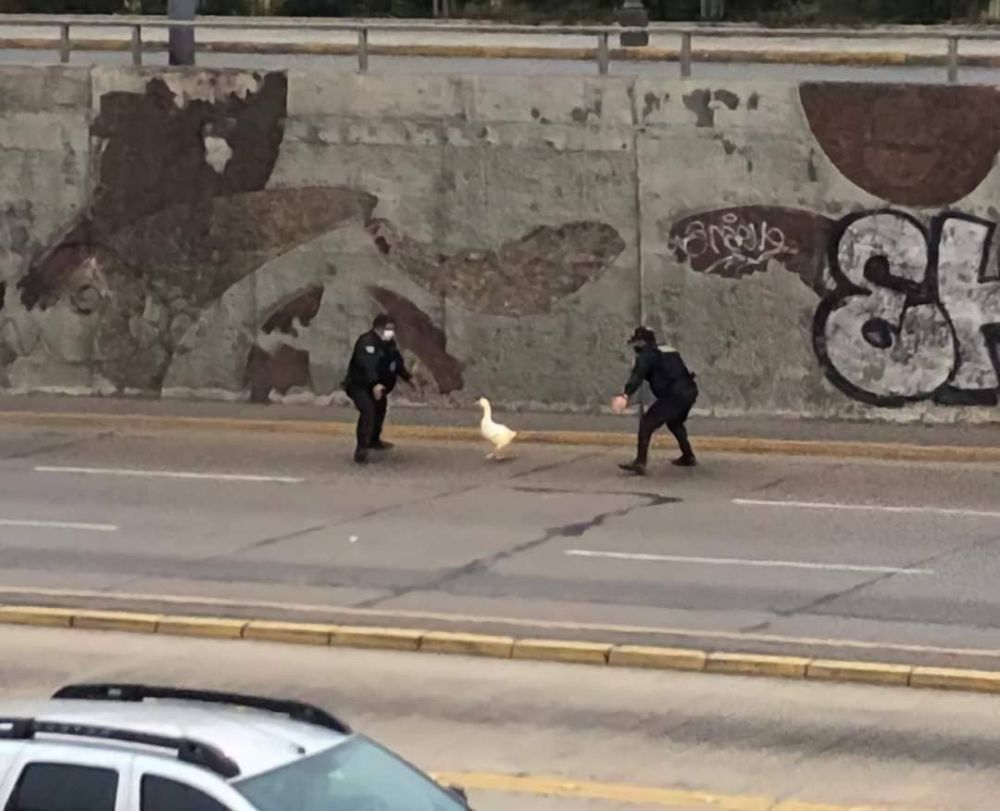 lagi kerja tapi ada-ada aja cobaannya © berbagai sumber