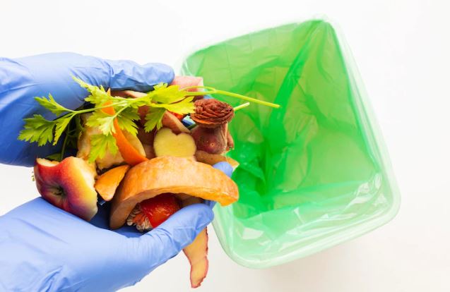 Sampah organik adalah © 2022 berbagai sumber Sampah organik adalah © 2022 berbagai sumber