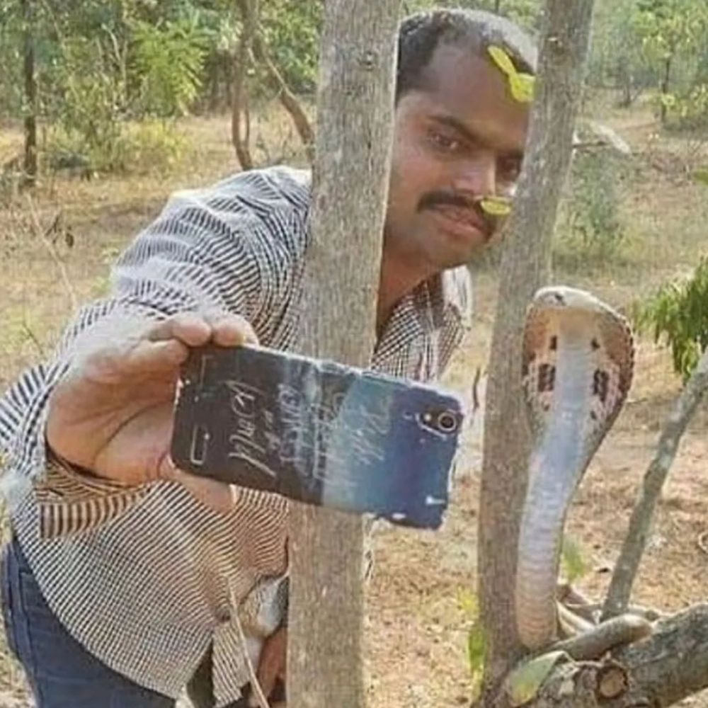 cowok kalo lagi gabut © Instagram cowok kalo lagi gabut © Instagram