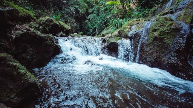Arti mimpi seputar sungai © 2022 berbagai sumber Arti mimpi seputar sungai © 2022 berbagai sumber