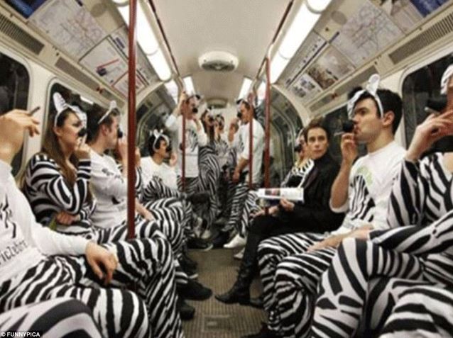 duduk di kendaraan umum gayanya kocak © berbagai sumber duduk di kendaraan umum gayanya kocak © berbagai sumber
