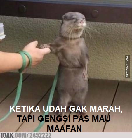 Meme kocak saat marahan sama pacar Berbagai sumber