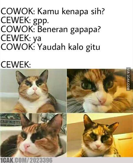 Meme kocak saat marahan sama pacar Berbagai sumber