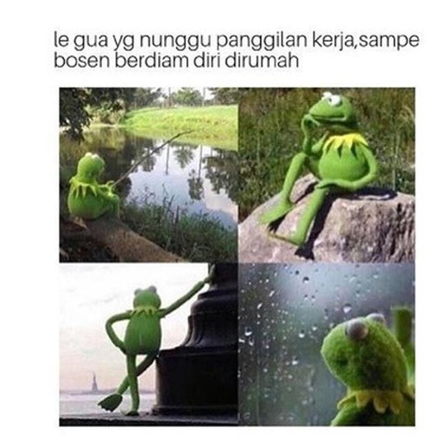 Meme sulitnya cari kerja Berbagai sumber