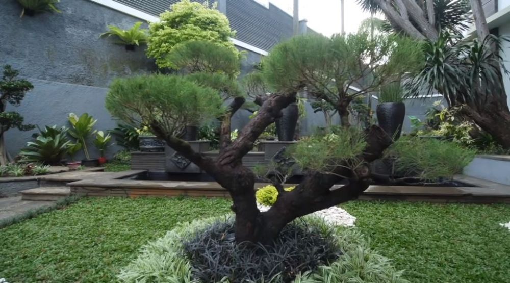 penampakan rumah rangga azof © berbagai sumber