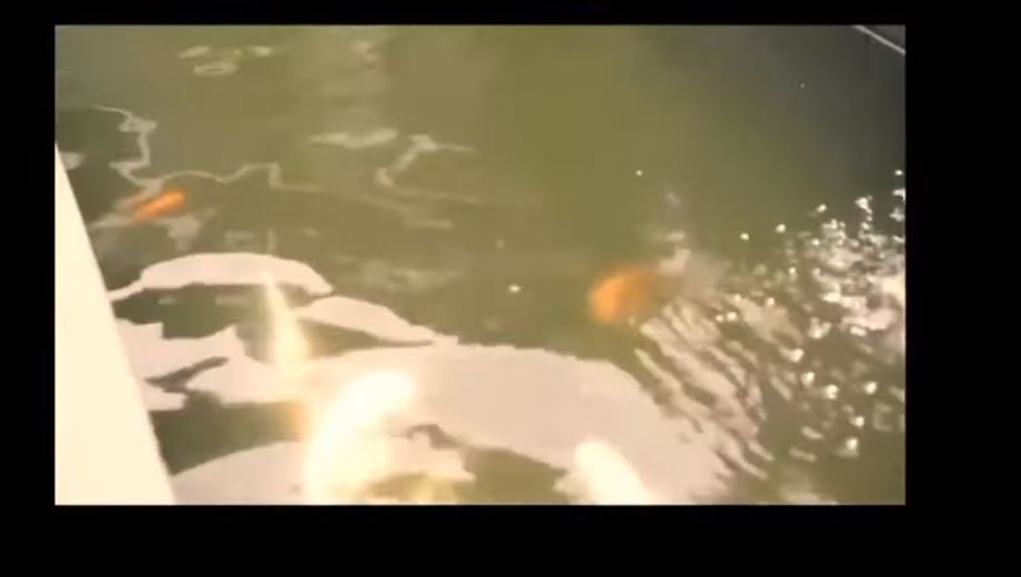 penampakan rumah rangga azof © berbagai sumber