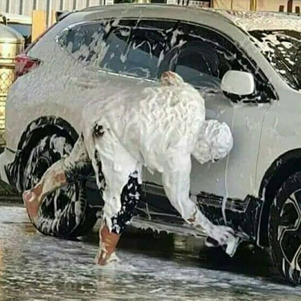 bapak bapak bertugas © berbagai sumber